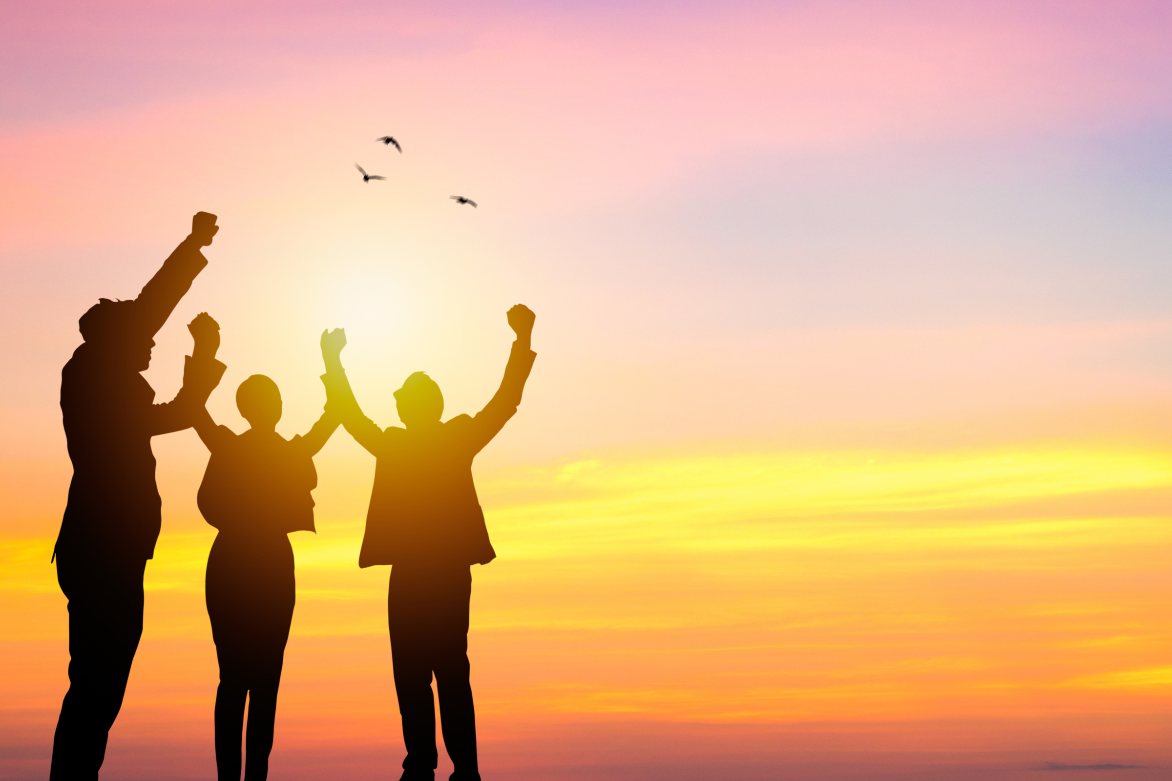 Team Work and Succes Concept, Silhouette Business People Corpora